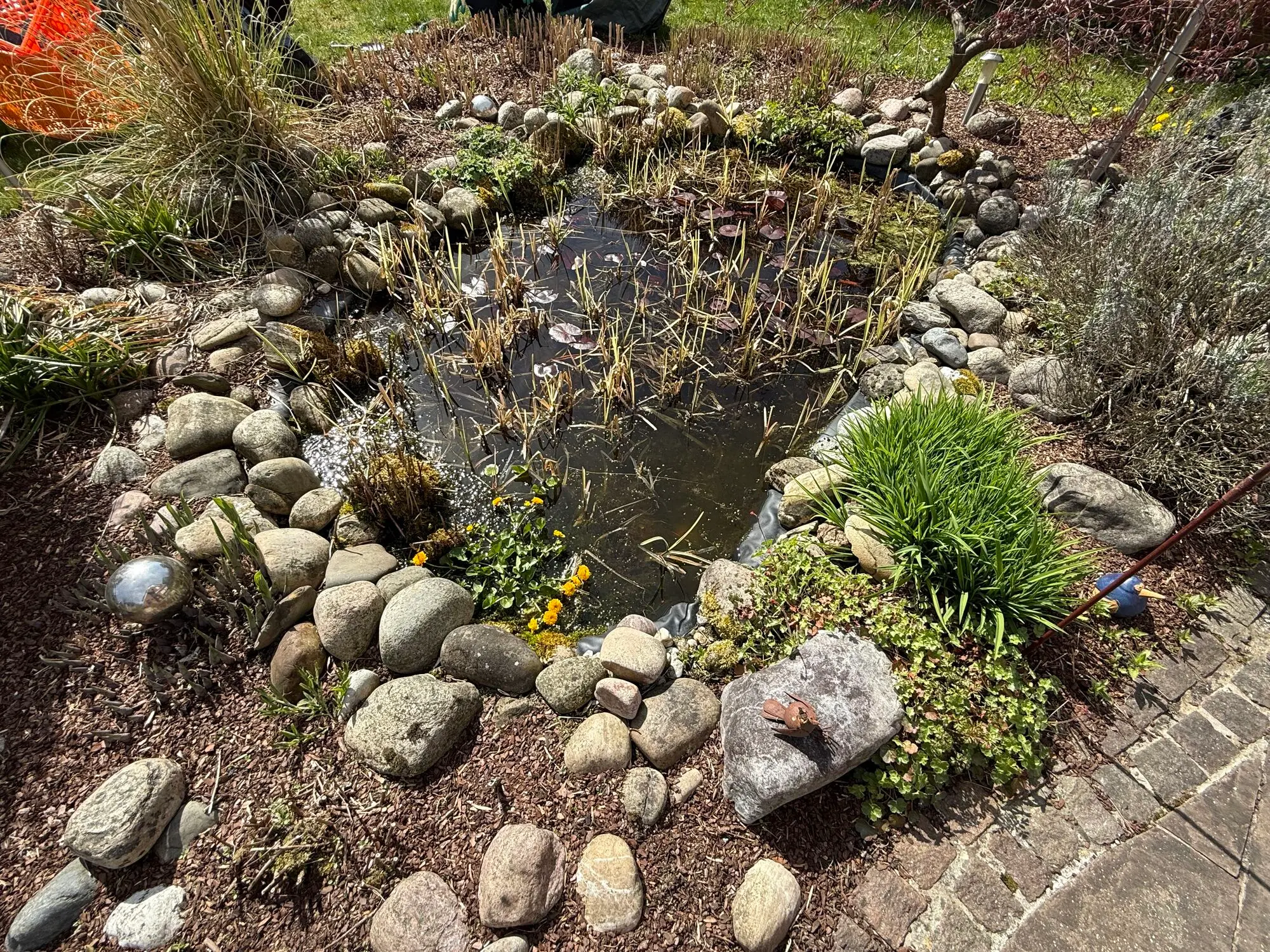Naturteichpflege – Vorher